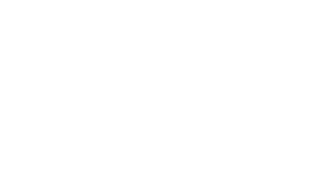Net Zero