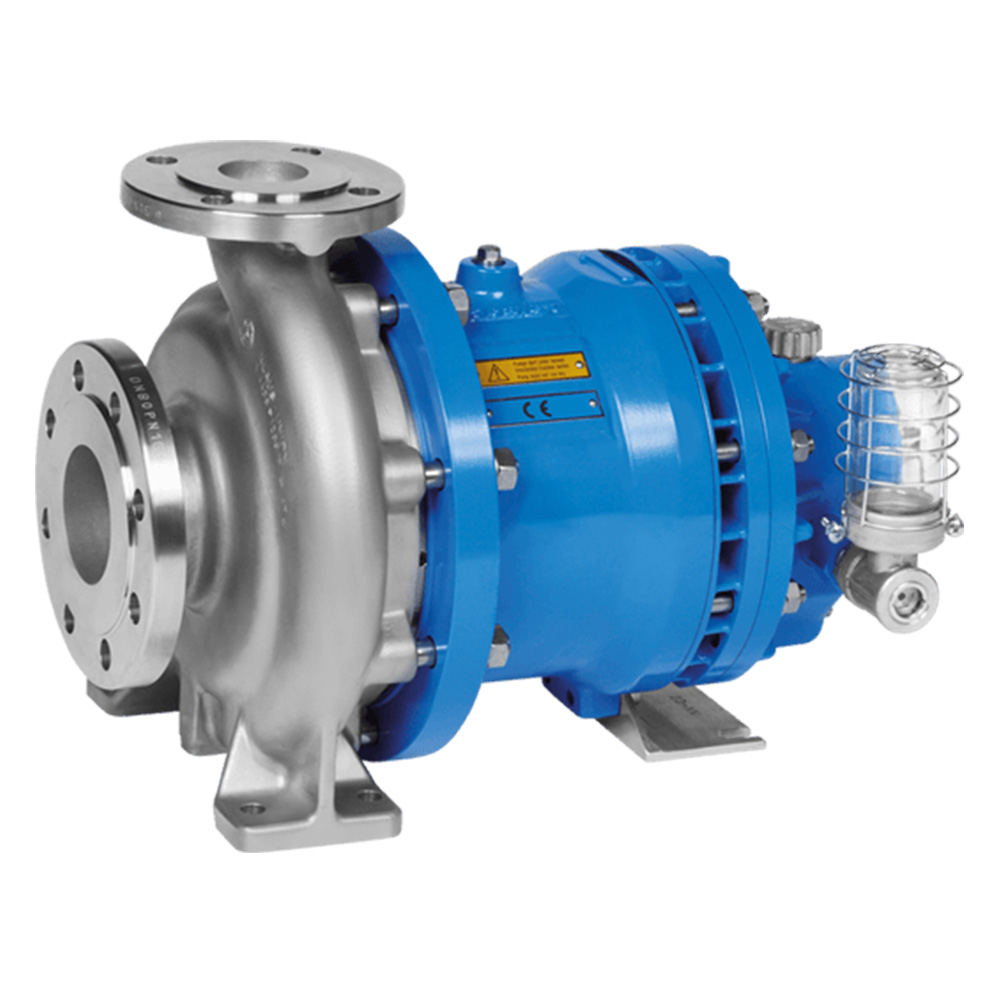 Klaus Union pumps from AVTPUMP